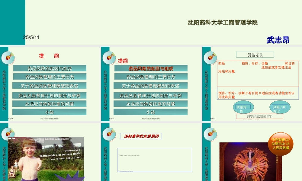 基于品种的药品风险管理计划研究与制定