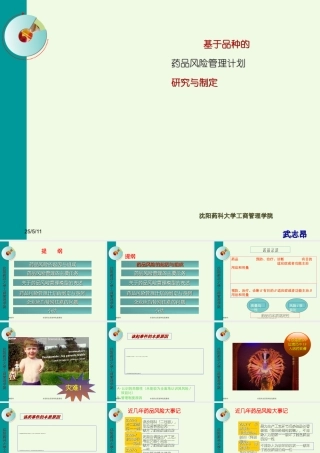 基于品种的药品风险管理计划研究与制定