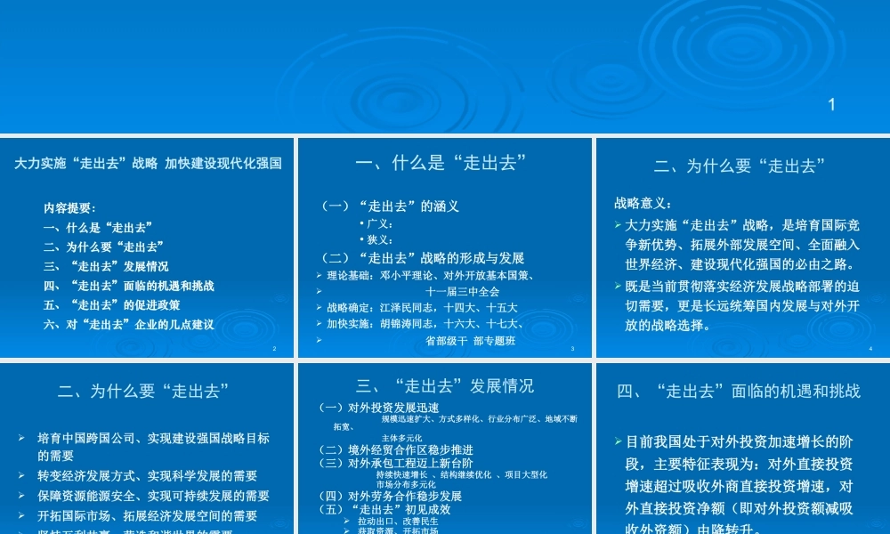 大力实施“走出去”战略加快建设现代化强国——