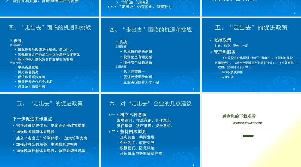 大力实施“走出去”战略加快建设现代化强国——