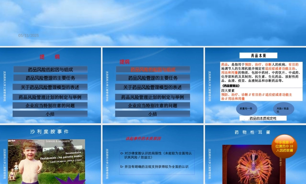 基于品种的药品风险管理计划研究与制定--武志昂海南