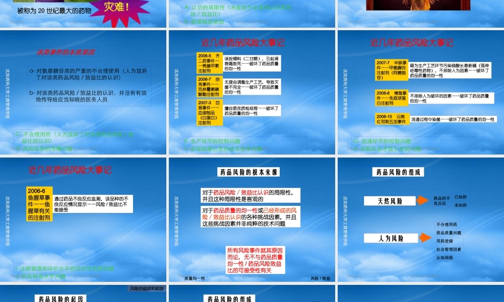 基于品种的药品风险管理计划研究与制定--武志昂海南