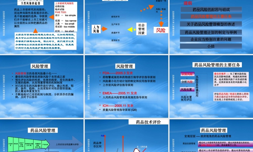 基于品种的药品风险管理计划研究与制定--武志昂海南
