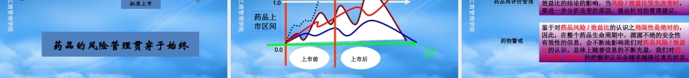 基于品种的药品风险管理计划研究与制定--武志昂海南