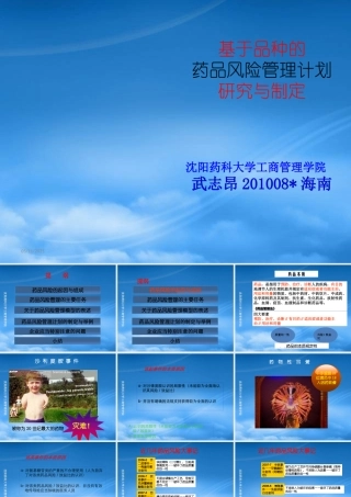 基于品种的药品风险管理计划研究与制定--武志昂海南
