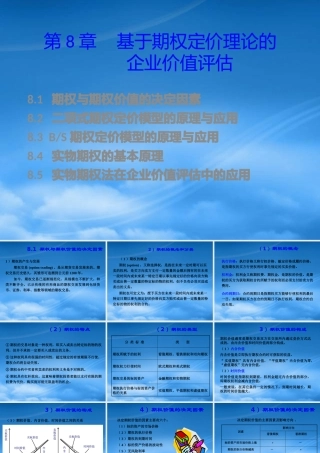基于期权定价理论的企业价值评估教材