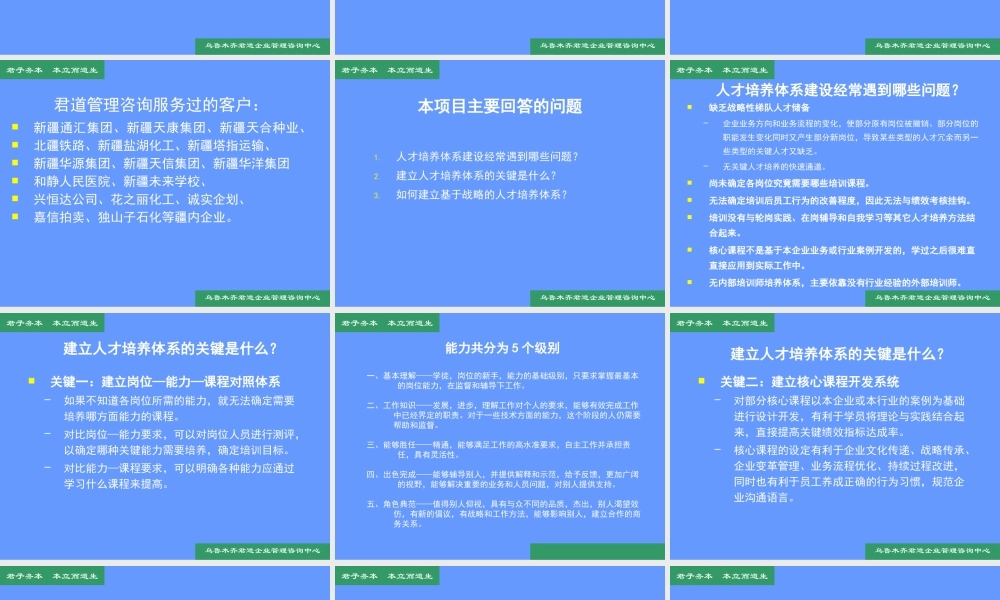 基于企业发展战略的人才培养体系项目建议书