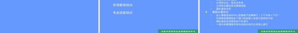 基于企业发展战略的人才培养体系项目建议书