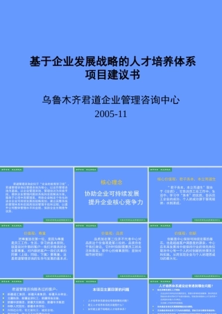 基于企业发展战略的人才培养体系项目建议书