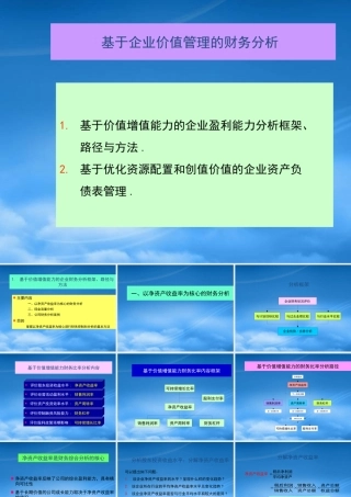 基于企业价值管理的财务分析