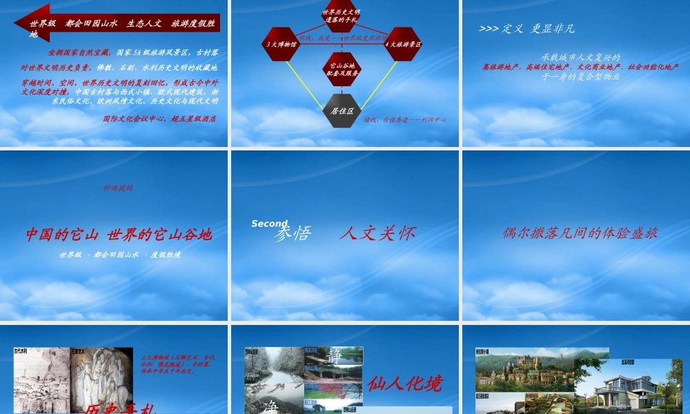 宁波天泽项目XXXX年整合推广方案_65PPT