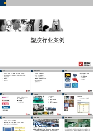 塑胶行业案例课件