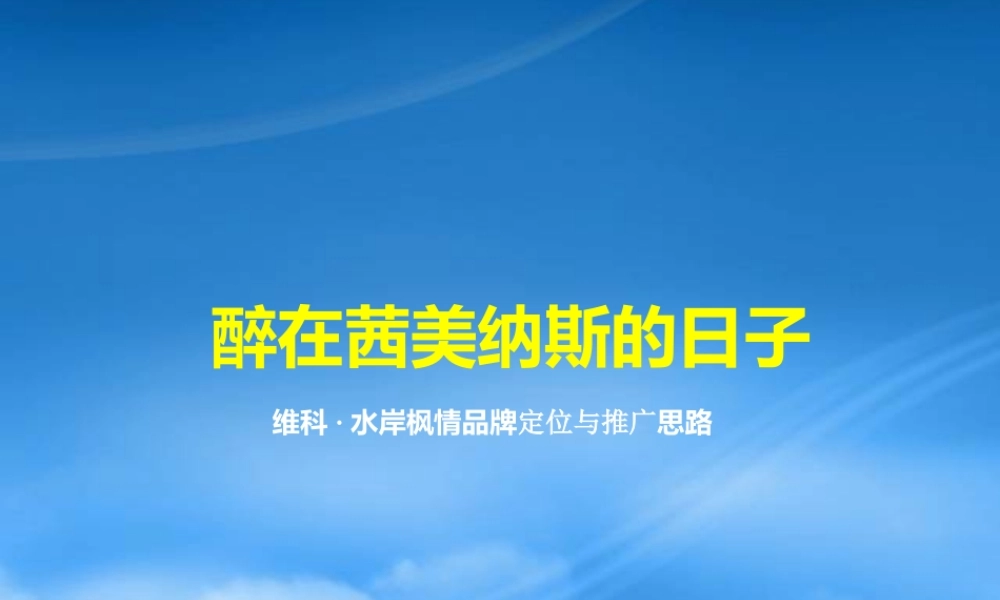 宁波维科_水岸枫情品牌定位与推广思路_91PPT