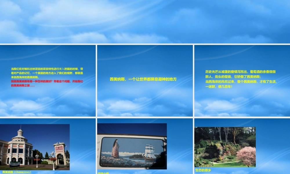 宁波维科_水岸枫情品牌定位与推广思路_91PPT