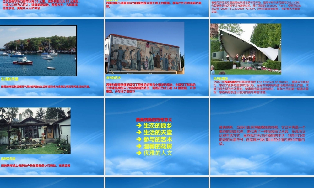 宁波维科_水岸枫情品牌定位与推广思路_91PPT