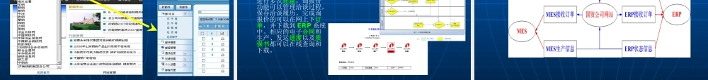 大力推进国际化绿色信息品牌的建设