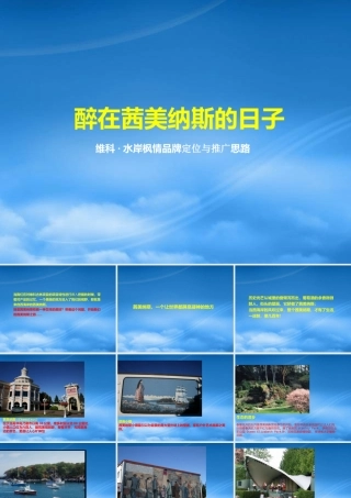 宁波维科水岸枫情品牌定位与推广方案