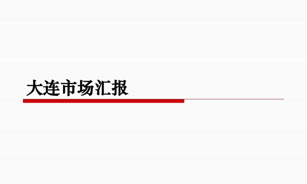 大连20年项目市场总结汇报