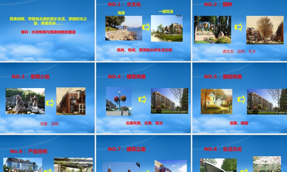 宁波维科水岸枫情项目品牌定位与推广思路-91PPT