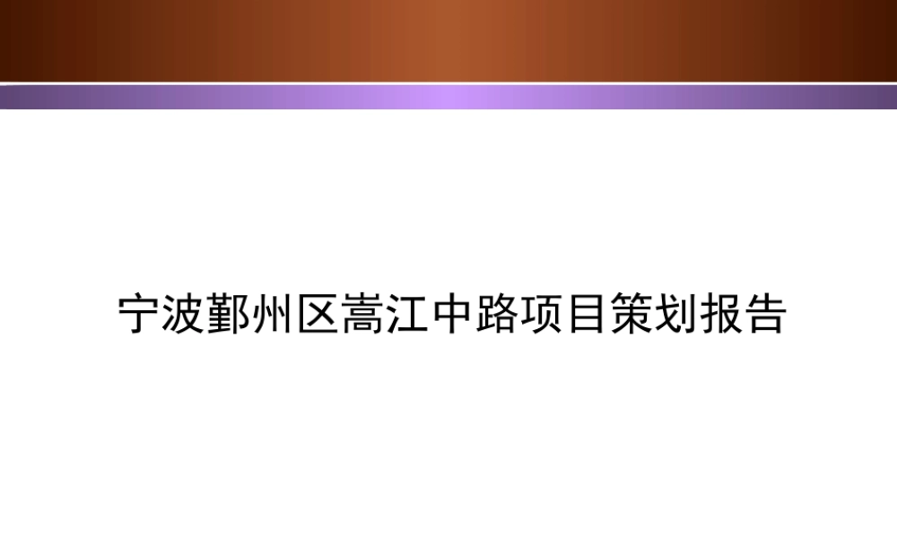 宁波鄞州区嵩江中路项目策划报告