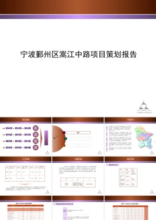 宁波鄞州区嵩江中路项目策划报告