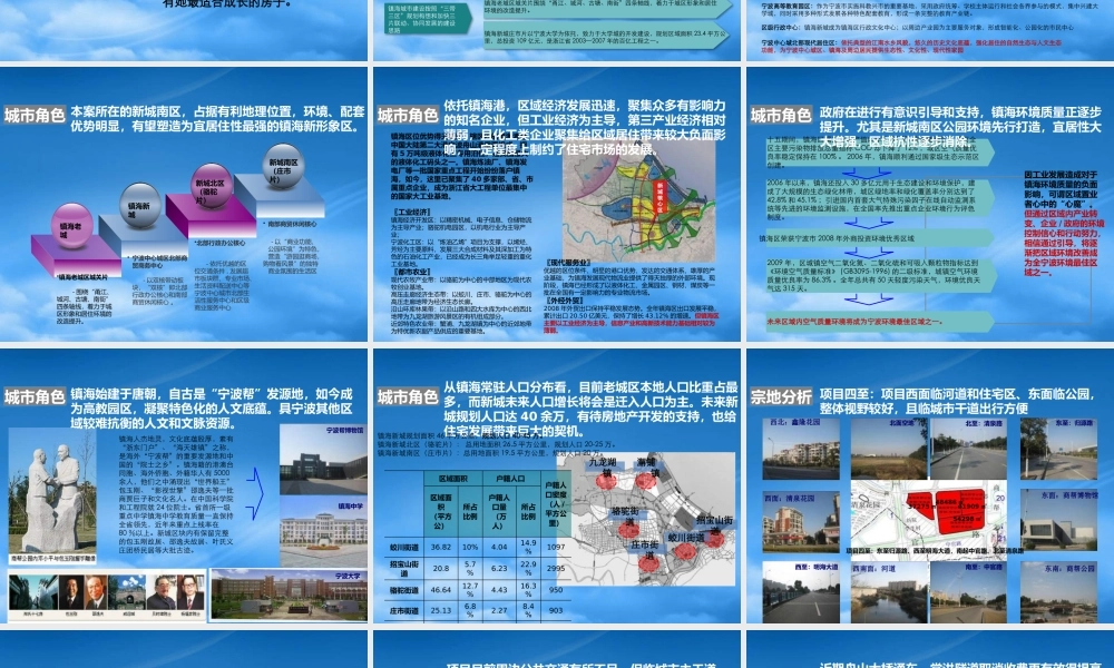 宁波镇海商帮公园西侧地块前期市场与战略定位研究(上)
