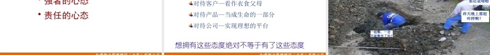 塑造高效绩效的团队建设