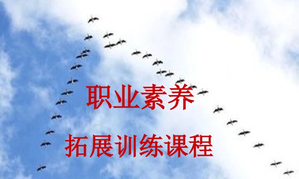 塑造高效团队(日修改)