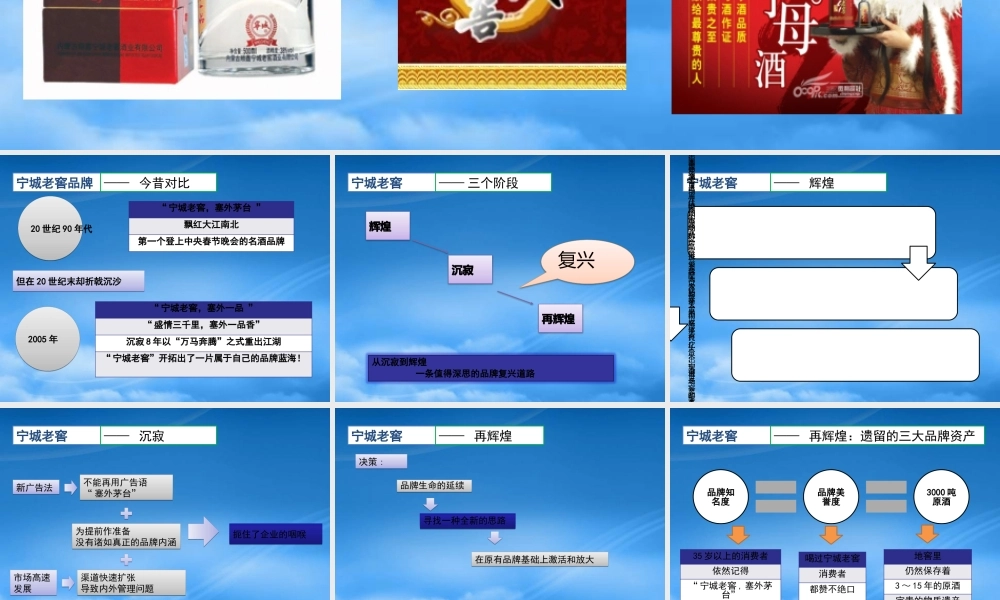 宁城老窖品牌复兴(营销072++陈杰