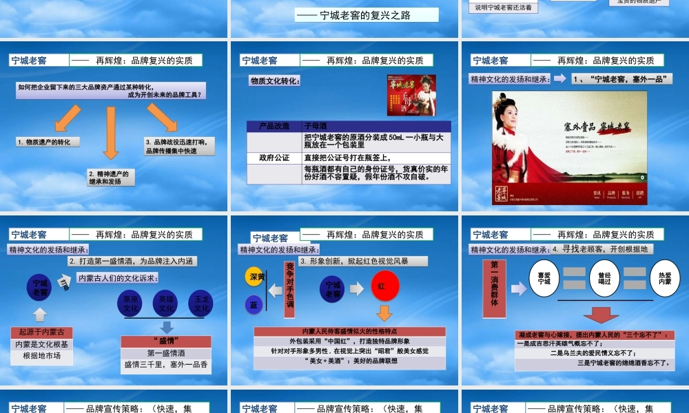 宁城老窖品牌复兴(营销072++陈杰