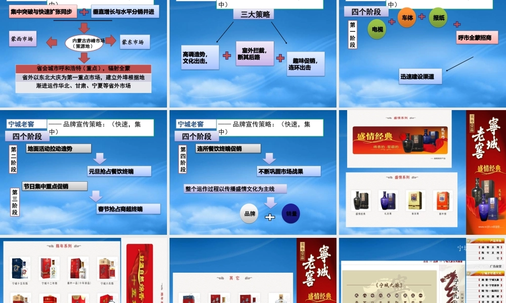 宁城老窖品牌复兴(营销072++陈杰
