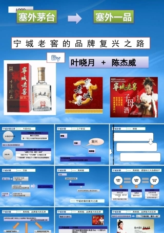 宁城老窖品牌复兴(营销072++陈杰