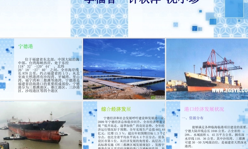 宁德港口发展的主要经济因素