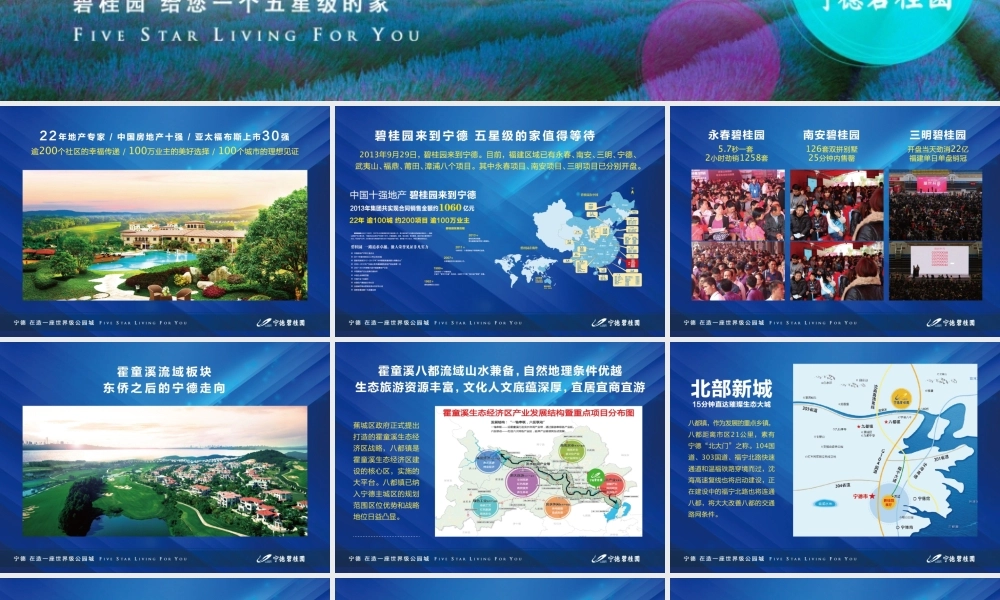 宁德某地产产品发布会