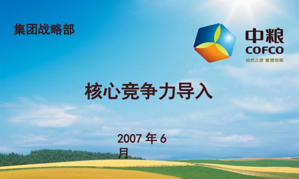 宁高宁--倾情奉献中粮集团构建核心竞争力