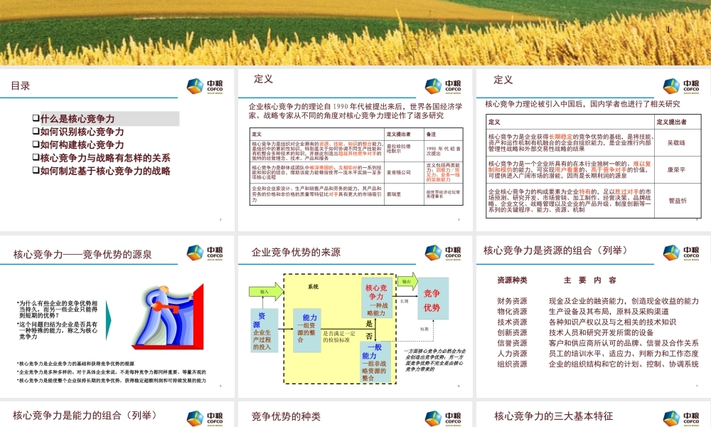 宁高宁--倾情奉献中粮集团构建核心竞争力