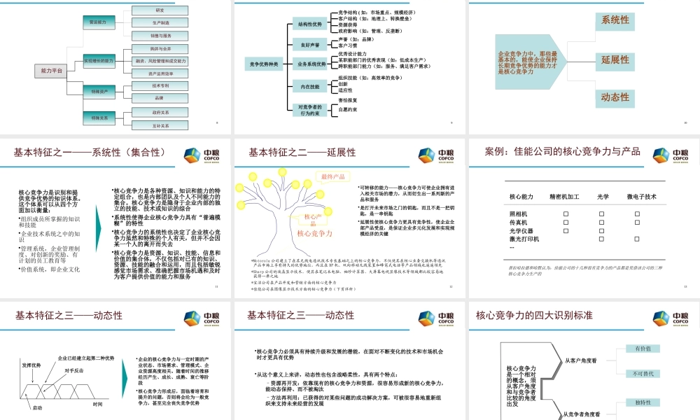 宁高宁--倾情奉献中粮集团构建核心竞争力