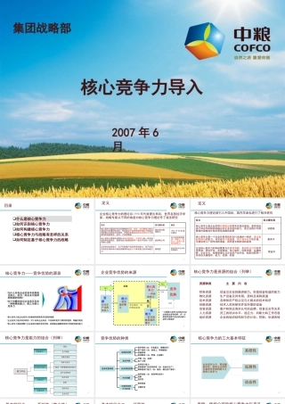 宁高宁--倾情奉献中粮集团构建核心竞争力