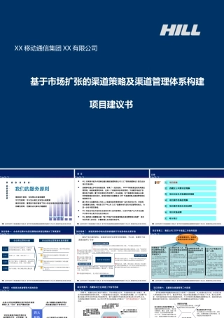 基于市场扩张的渠道策略及渠道管理体系构建项目