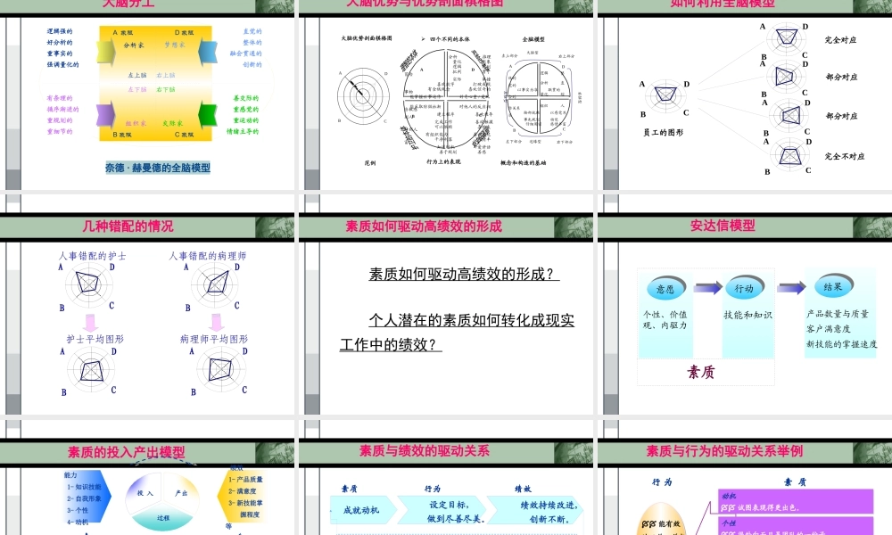 基于素质的管理模型
