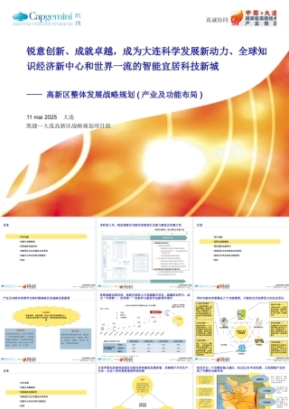 大连高新区整体发展战略规划(产业及功能布局)