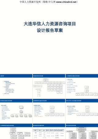 大连华信人力资源咨询项目
