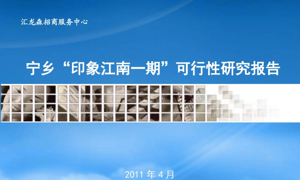 宁乡印象江南一期可行性研究报告