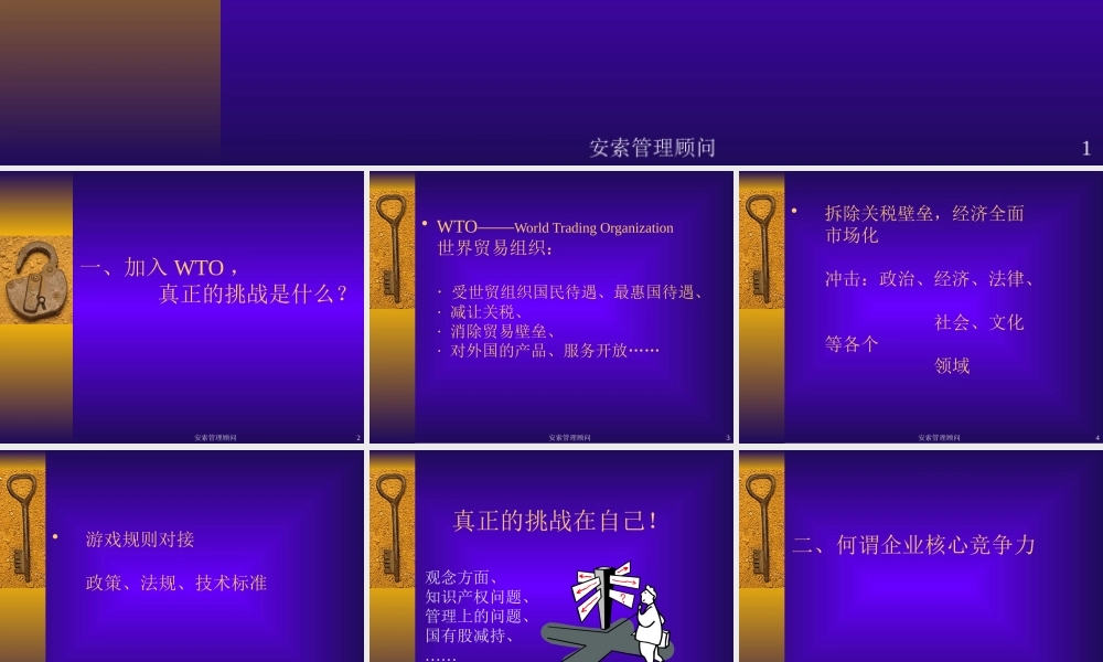 塑造企业核心竞争力、迎接WTO挑战