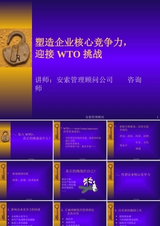塑造企业核心竞争力、迎接WTO挑战