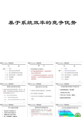 基于系统效率的竞争优势（PPT64页）
