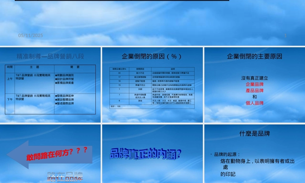 塑造强势品牌---品牌营销八段王汉武