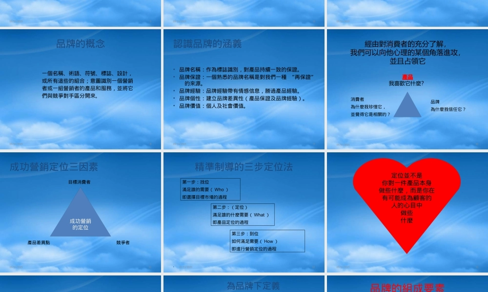 塑造强势品牌---品牌营销八段王汉武
