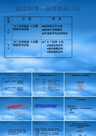塑造强势品牌---品牌营销八段王汉武