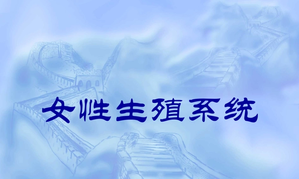 女生殖系--组织学和胚胎学